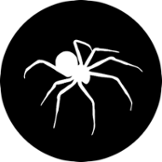 Spiders